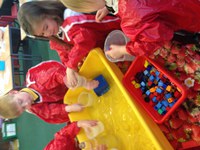 Numeracy Term 4 - Measurement