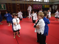 Judo Taster