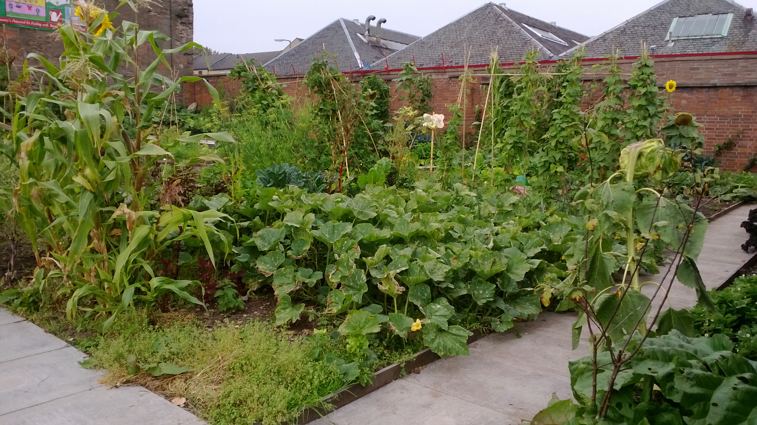 Maxwell Community Garden