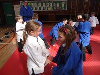 Judo Taster