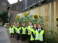 Maxwell Community Garden